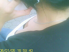 Wolter’s Downblouse Bitch 031-040