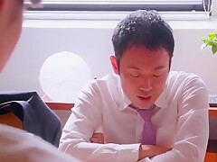 WIR295-SFNYFWUTXY966712549